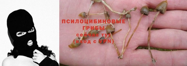 гидра Балабаново