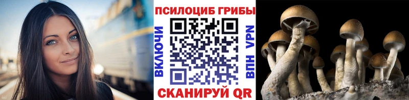 Псилоцибиновые грибы прущие грибы  цена   Задонск 
